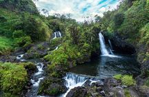 Full Day Private Maui Waterfall, Beach & Hana Tour 