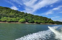 Local Sightseeing & Mangrove Tour