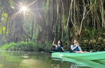 Mangrove Kayak ＆ Sea Fishing Experience in Okinawa