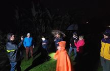 Costa Rica Night Walk Tour