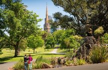 Melbourne City Laneways, Bays and Suburbs Small Group Bus Tour 