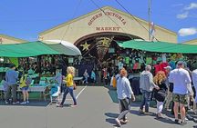 Melbourne City Laneways, Bays and Suburbs Small Group Bus Tour 