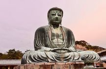 Guided Private Kamakura Tour GREEN NUMBER PLATES