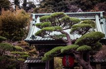 Guided Private Kamakura Tour GREEN NUMBER PLATES