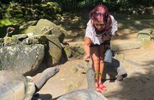 Private Tour: Discover Mahe Beyond the Ordinary