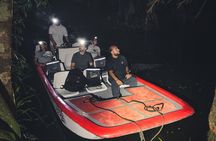 Secret Night Walk in Tortuguero