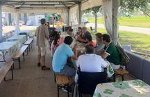 From Bologna: Parmesan Cheese & Balsamic Vinegar Tour+Lunch