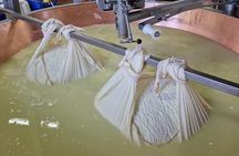 From Bologna: Parmesan Cheese & Balsamic Vinegar Tour+Lunch