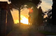 Pompeii skip the line with specialized guide at sunset
