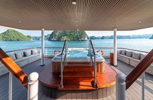  Iris Cruise 5 Star Luxury Halong Bay Day Tour from Harbor