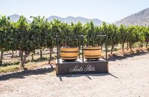 Premium Wine Tasting and Tour at Santa Rita + Private Transport
