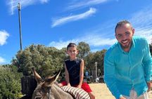 Authentic Full Day Private Tour of Tangier 