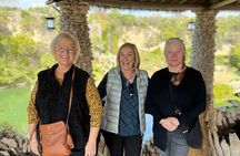 PRIVATE Missions and More - Half-day City Tour