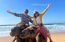 Authentic luxury Private Tour of Tangier all inclusive