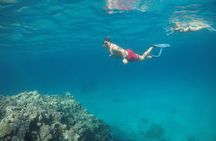 Snorkeling and Diving to Ras Mohamed And White Island by VIP Boat