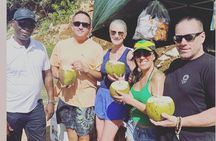 Full Day Private Guided Tour in Ocho Rios Jamaica