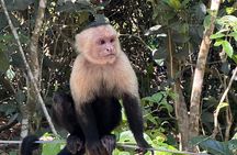 Hike in Manuel Antonio National Park with Transportation 