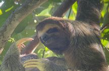 Hike in Manuel Antonio National Park with Transportation 