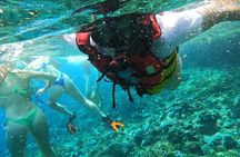 Snorkeling Tour from Sanur to Nusa Penida