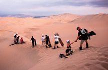 Paracas, Ica and Huacachina Day Trip From Lima | Mini-Galapagos