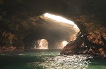 Paracas, Ica and Huacachina Day Trip From Lima | Mini-Galapagos