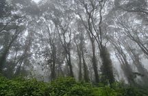 Kilimanjaro Northern Circuit Route 8 Days