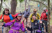 Kilimanjaro Northern Circuit Route 8 Days