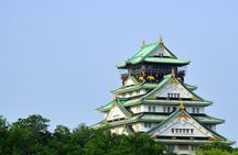 Full Day Walking Tour in Osaka Castle Temples and Ukiyoe