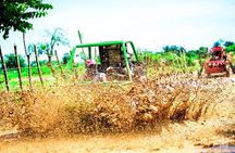 Buggy Tour to Macao Beach and Water Cave with Organic Farm