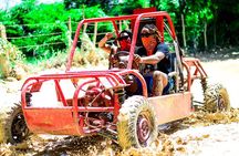 Buggy Tour to Macao Beach and Water Cave with Organic Farm