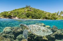 Full Day Snorkeling Tour in Cousin Curieuse and St Pierre Island