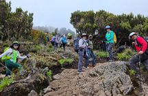 Kilimanjaro Lemosho Route 8 Days