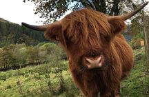 Private Loch Ness & Glencoe Day Trip from Edinburgh