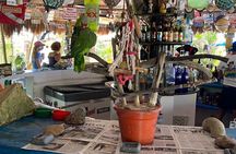 BarHop Tour In Cozumel: All-Inclusive