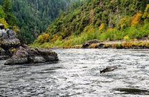 Whitewater Fishing and Rafting Experience in Rogue River