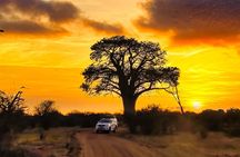 Safari Game Drive 3 Hours in Victoria Falls *D-ES-F