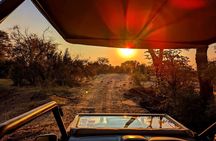 Safari Game Drive 3 Hours in Victoria Falls *D-ES-F