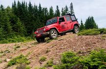 Cape Breton Jeep Adventure (4hr)