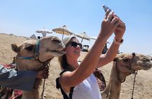 All-in-One Giza pyramids, Shpinx, Saqqara, Memphis, camel & lunch