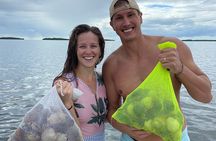 Private Guided Snorkeling with Scallop Hunt