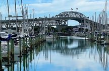 Private Auckland Best Top 5 Spots Half day Tour 