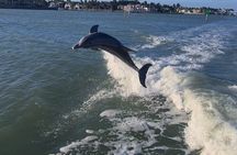 Sunset Tour in Naples Bay on a New Godfrey- All included