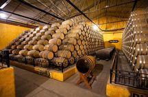 Cantaritos and Tequila Factory Tour