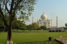 Private Sunrise Taj Mahal Agra Fort Guided Tour by Car From Delhi