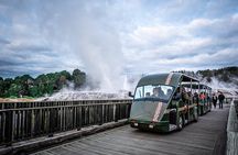 Rotorua Day Trip Maori Culture, SecretSpot, Redwood Forest