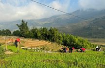From Hà Nội ; Mu Cang Chai 3 Days 2 Nights By Car and Trekking 