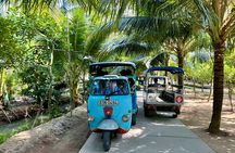 Full Day Guided Mekong Delta Day Tour in Vietnam (Multilingual)