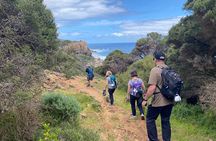 4-Day Cape to Cape Bespoke Walking Adventure