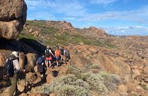 4-Day Cape to Cape Bespoke Walking Adventure