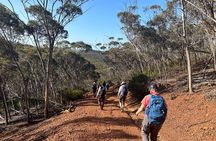 5 Days Walking with Wildflowers - Fitzgerald Biosphere